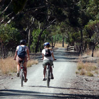 Clare Valley Reisling trail