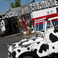 Moo Moo Cafe