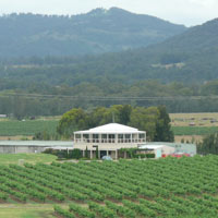 Hunter Valley Winery