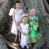 Fairy Cousins