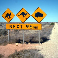 beware camels, kangaroos, and wombats
