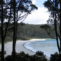 Fortesque Bay in Tasman National Park
