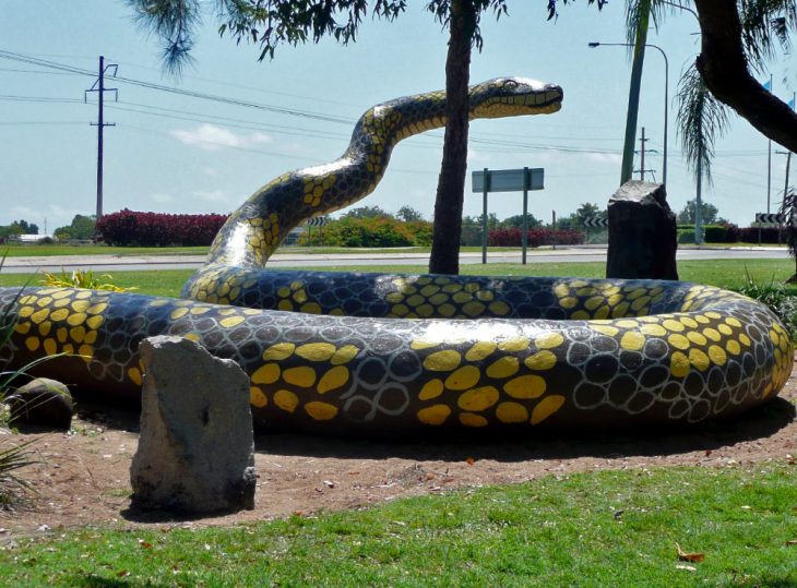 The giant carpet snake 