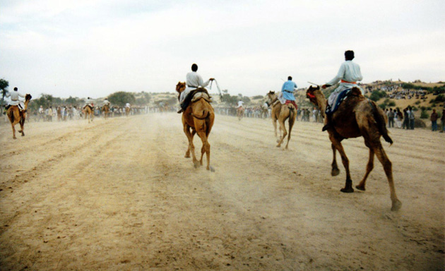 Pushkar Camel Race