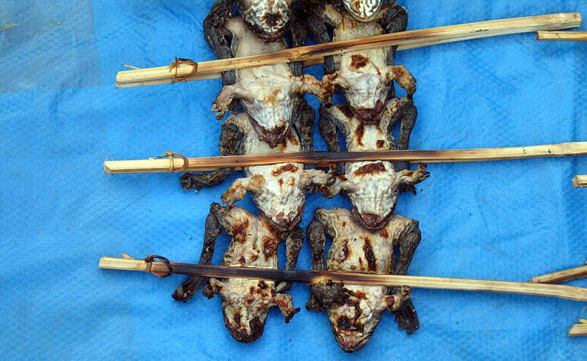 Laos fried frogs on a stick
