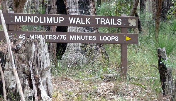 Mundlimup Trail and Loop at Jarrahdale, WA