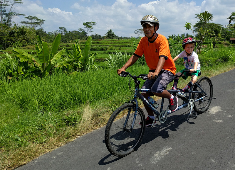 Downhill cycling with Halo Bike Tours in Ubud Bali