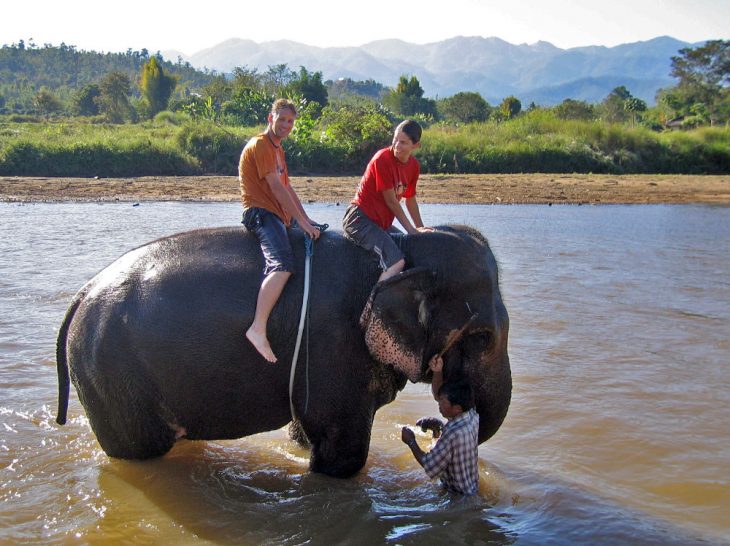 Elephant Wash