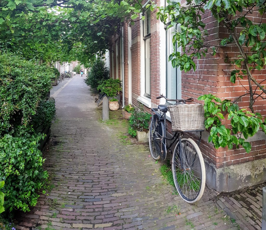 A Leafy Lane in Haarlem
