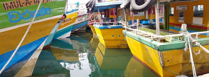 the colourful fishing boats in Mirissa, Sri Lanka