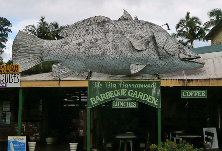 Big Barramundi in Queensland