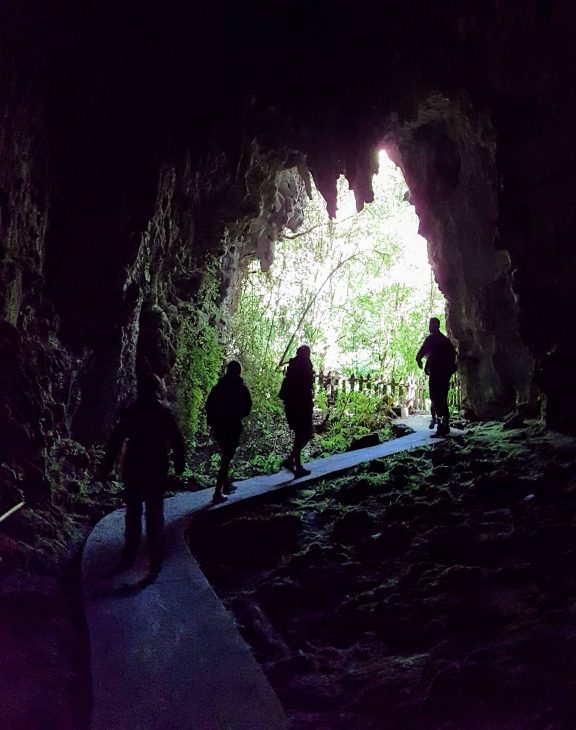 Waitomo cave entrance