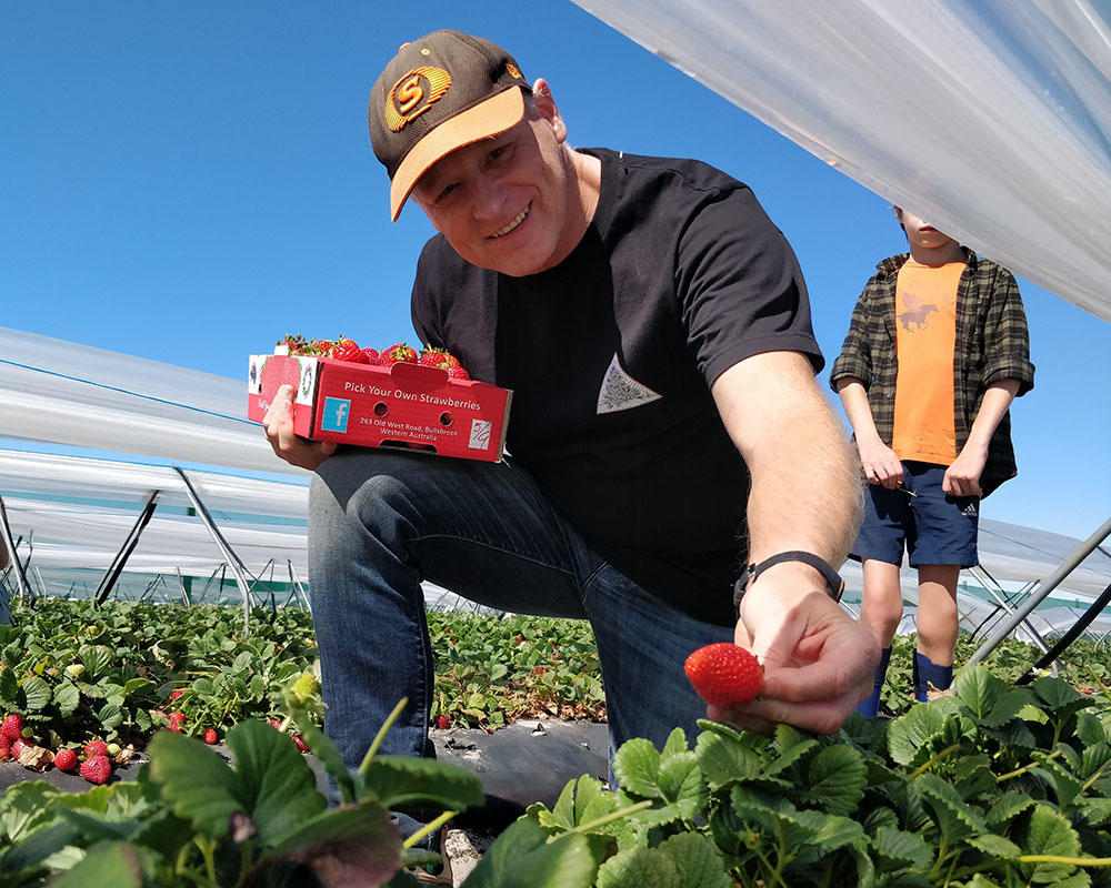 Rob Picking Stawberries